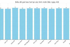 Giá heo hơi hôm nay 4/6/2025: Miền Bắc chạm mốc 70.000 đồng/kg