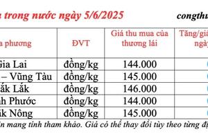 Giá tiêu hôm nay 5/6/2025: trong nước neo ngưỡng cao