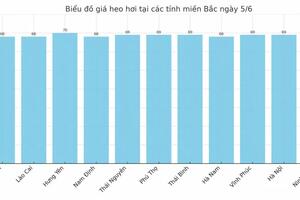 Giá heo hơi hôm nay 5/6/2025: Cao nhất 75.000 đồng/kg