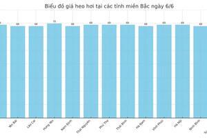 Giá heo hơi hôm nay 6/6/2025: Giữ mặt bằng giá cao