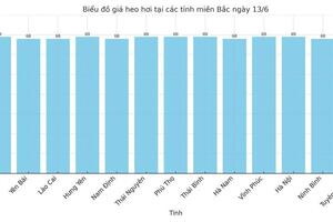 Giá heo hơi hôm nay 13/6/2025: Cao nhất 74.000 đồng/kg