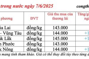 Giá tiêu hôm nay 7/6/2025: trong nước duy trì đà tăng