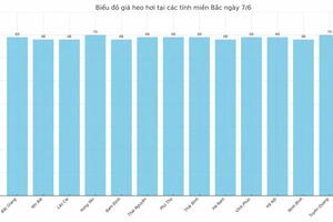 Giá heo hơi hôm nay 7/6/2025: Dao động từ 68.000 - 75.000 đồng/kg