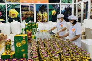 Ninh Bình đưa quà quê lên sàn thương mại điện tử