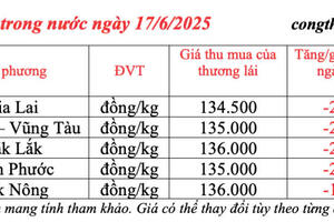 Giá tiêu hôm nay 17/6/2025: trong nước tiếp đà giảm