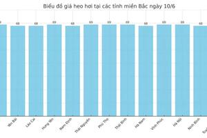 Giá heo hơi hôm nay 10/6/2025: Giảm nhẹ tại miền Trung
