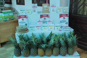 Lâm Đồng mở ‘cung đường mới’ cho nông sản vùng cao