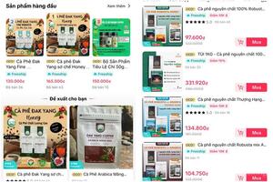 Nông sản sạch Gia Lai 'bắt sóng' thương mại điện tử