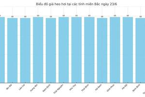 Giá heo hơi hôm nay 23/6/2025: Cao nhất 73.000 đồng/kg