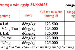 Giá tiêu hôm nay 25/6/2025: trong nước  duy trì bình ổn