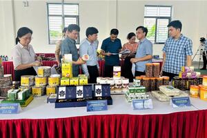 Hà Tĩnh: Bình chọn sản phẩm công nghiệp nông thôn tiêu biểu năm 2025