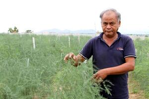 Chuỗi liên kết nông sản: ‘Chìa khoá’ thoát nghèo cho đồng bào dân tộc thiểu số Ninh Thuận