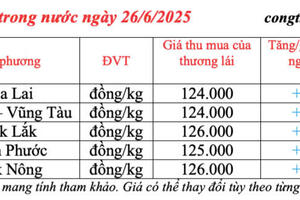 Giá tiêu hôm nay 26/6/2025: trong nước tăng trở lại