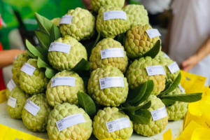 Thái Nguyên chuyển mình cùng thương mại số: Mở rộng đầu ra, nâng tầm đặc sản