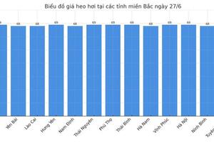 Giá heo hơi hôm nay 27/6/2025: Cao nhất 73.000 đồng/kg