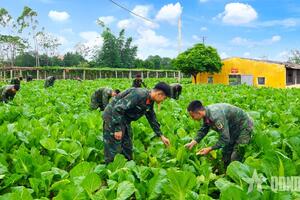 Càng thấm hơn ý nghĩa của công tác tăng gia sản xuất