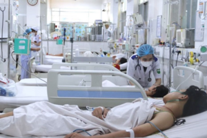 Phòng, chống sốt xuất huyết đầu mùa mưa