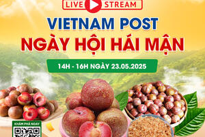 Sàn thương mại điện tử góp phần gỡ ‘nút thắt’ nông sản miền núi