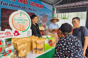 Đưa sản phẩm vải thiều Lục Ngạn chất lượng cao phục vụ người dân Thủ đô