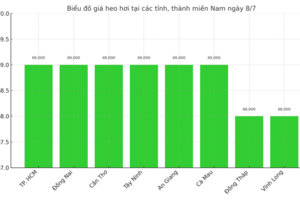 Giá heo hơi hôm nay 8/7/2025: Miền Nam tiếp tục giảm