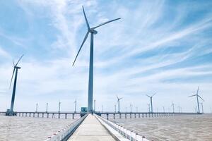 Điểm tựa vững chắc, tạo sức bật cho nền kinh tế Cà Mau