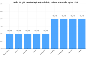 Giá heo hơi hôm nay 10/7/2025: Nhiều nơi đi ngang, 2 tỉnh giảm nhẹ