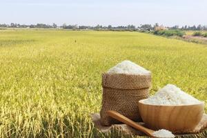 Giá lúa gạo hôm nay ngày 11/7: Thị trường lặng sóng