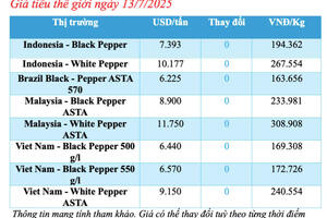 Giá tiêu hôm nay 13/7/2025: Trong nước cao nhất 141.000 đồng/kg