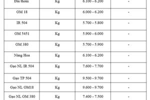 Giá lúa gạo hôm nay ngày 13/7/2025 và tuần qua lúa tăng mạnh