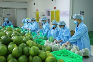 5 năm thực thi EVFTA: Xuất khẩu nông, lâm, thủy sản hưởng lợi lớn