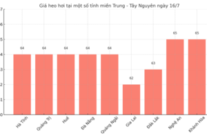 Giá heo hơi hôm nay 16/7/2025: Miền Bắc, miền Trung - Tây Nguyên lao dốc