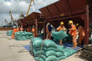 Tạo hành lang pháp lý thuận lợi nhất cho hoạt động xuất khẩu gạo