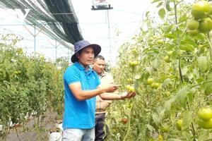 Lâm Đồng tăng cường liên kết chuỗi để nâng tầm nông sản vùng dân tộc