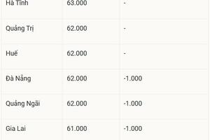Giá heo hơi hôm nay 19/7/2025: Tiếp tục lao dốc, thấp nhất 61.000 đồng/kg