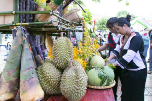 Ngát hương sầu riêng từ vùng núi Khánh Sơn