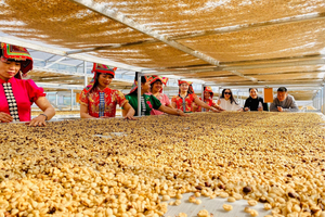 Nâng tầm sản vật miền núi bằng thương hiệu