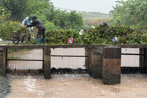 Tỉnh Hưng Yên kích hoạt toàn bộ hệ thống ứng phó bão số 3