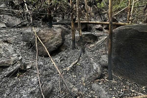 Đà Nẵng: Khống chế đám cháy xuyên đêm gây thiệt hại 10ha rừng