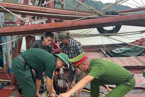 Thanh Hóa: Đảm bảo an toàn cho người và tài sản trước bão số 3