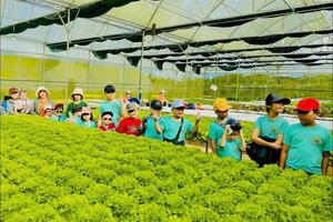 Du lịch canh nông: Thêm ‘lối mở’ mới cho nông sản Đắk Lắk