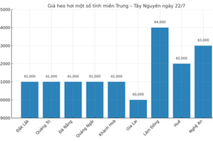 Giá heo hơi hôm nay ngày 22/7/2025: Đồng loạt giảm trên toàn quốc