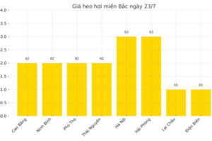 Giá heo hơi hôm nay ngày 23/7/2025: Tiếp đà lao dốc