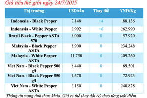 Giá tiêu hôm nay 24/7/2025: Trong nước bình ổn và giữ mức cao