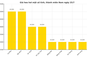 Giá heo hơi hôm nay ngày 25/7/2025: Chững giá sau chuỗi ngày giảm liên tiếp