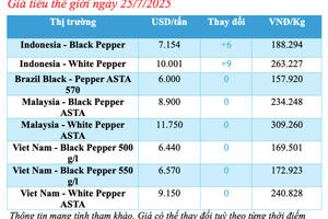 Giá tiêu hôm nay 25/7/2025: Thị trường trong nước neo mức cao