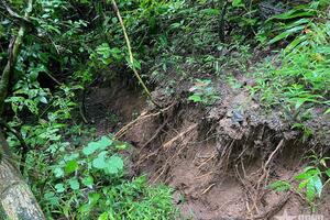 Bản Xằng Trên, tỉnh Nghệ An: Xuất hiện vết nứt lớn ngang núi phía sau bản, sơ tán toàn bộ nhân dân