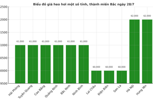 Giá heo hơi hôm nay 28/7/2025: Tiếp tục giảm nhẹ