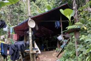 Quảng Trị: Thông tin về việc khai thác vàng trái phép tại xã Bến Quan