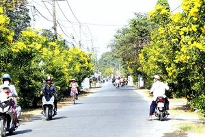 Ngành Công Thương Đồng Nai: Động lực thúc đẩy nông thôn mới nâng cao, kiểu mẫu