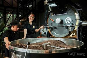 Giá cà phê ngày 7/8/2025: Thị trường nội địa giữ nhịp tăng mạnh